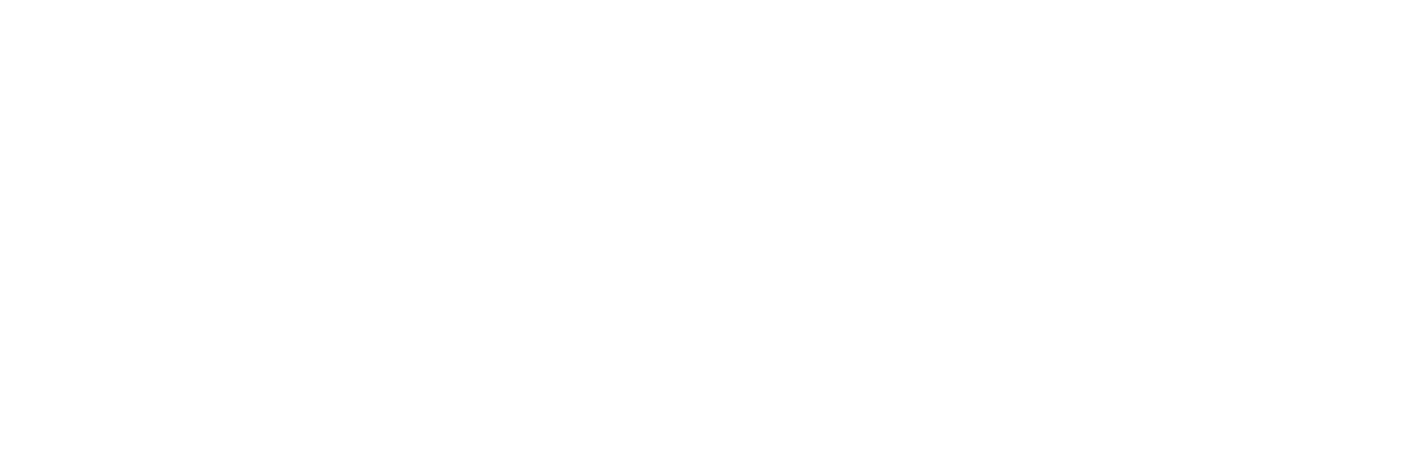 eXXe devteam logo